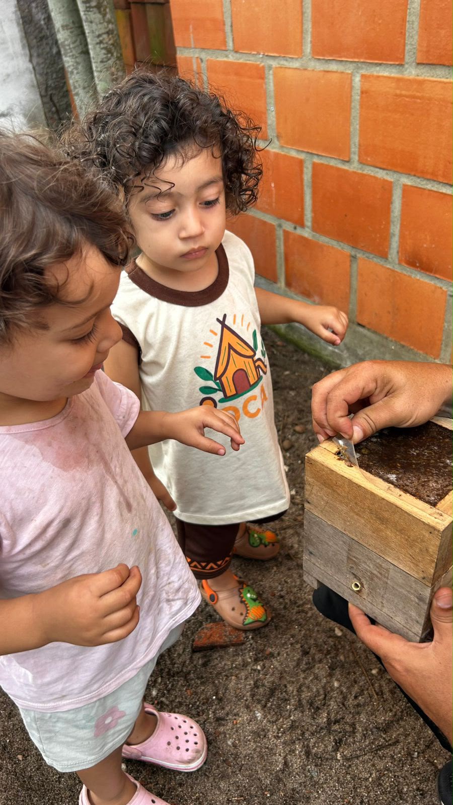 Crianças observando abelhas com cuidado na OCA