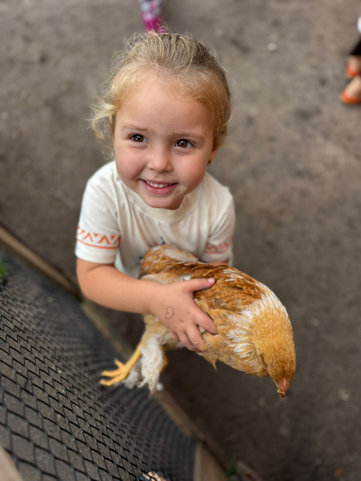 Criança em contato com animais na OCA
